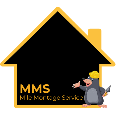 Logo homepagina MMS